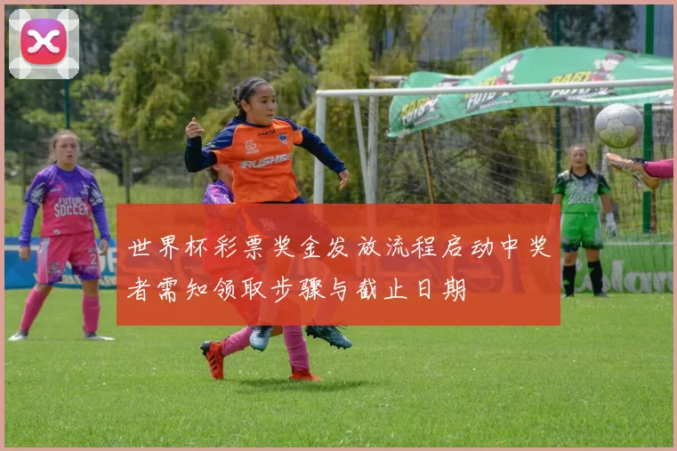 世界杯彩票奖金发放流程启动中奖者需知领取步骤与截止日期