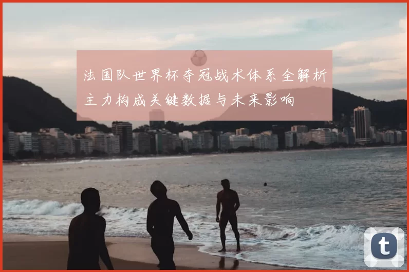 法国队世界杯夺冠战术体系全解析主力构成关键数据与未来影响