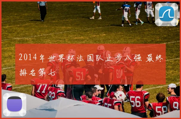 2014年世界杯法国队止步八强 最终排名第七